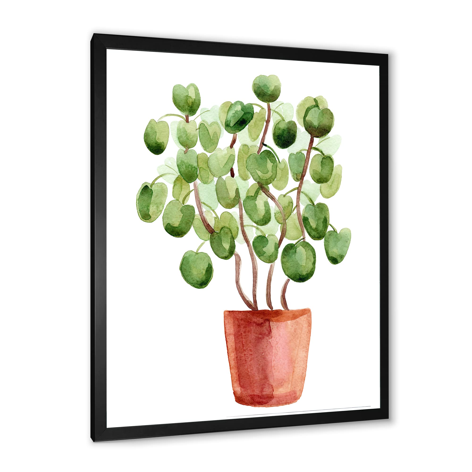 Chinese Money Plant in Ceramic Pot - Pilea Peperomioides Live Indoor Houseplant for Home Decor, Office Desk, and Gift Giving