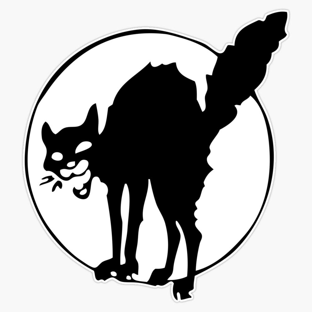 Leyland Designs Anarchist Black Cat Vinyl Sticker - Durable 5