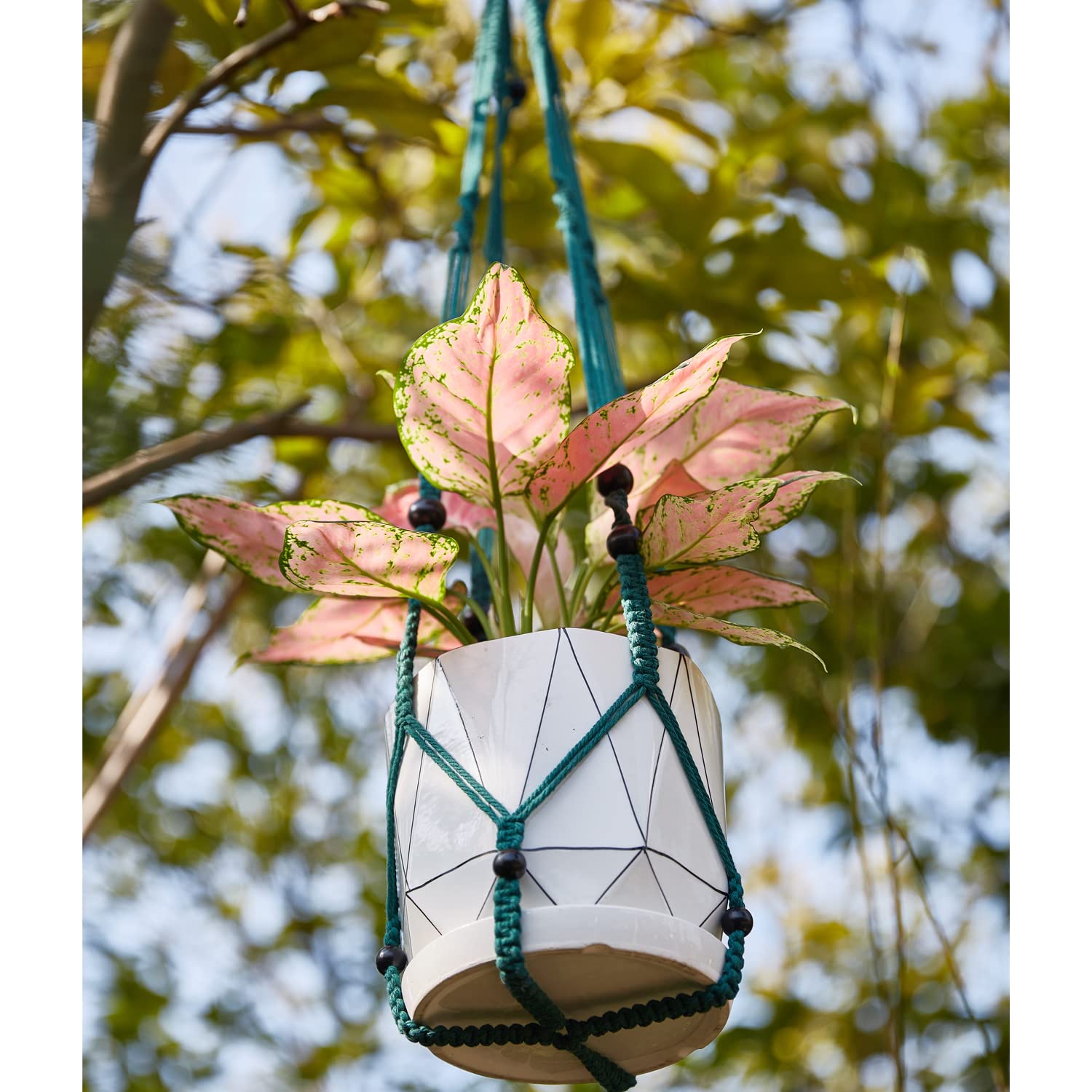Handmade Macrame Plant Hangers for Indoor Plants - 6 Pack Boho Hanging Plant Holders with Strong Ropes, Home Wall Decor for Living Room, Bedroom, Balcony & Garden