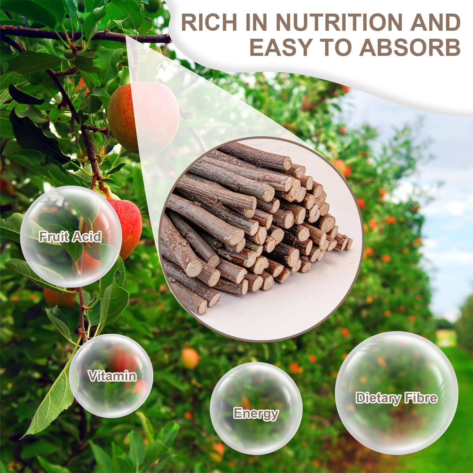 Natural Apple Wood Sticks - 500g Pet Chew Toys for Small Animals like Guinea Pigs, Rabbits & Hamsters - Dental Care & Play