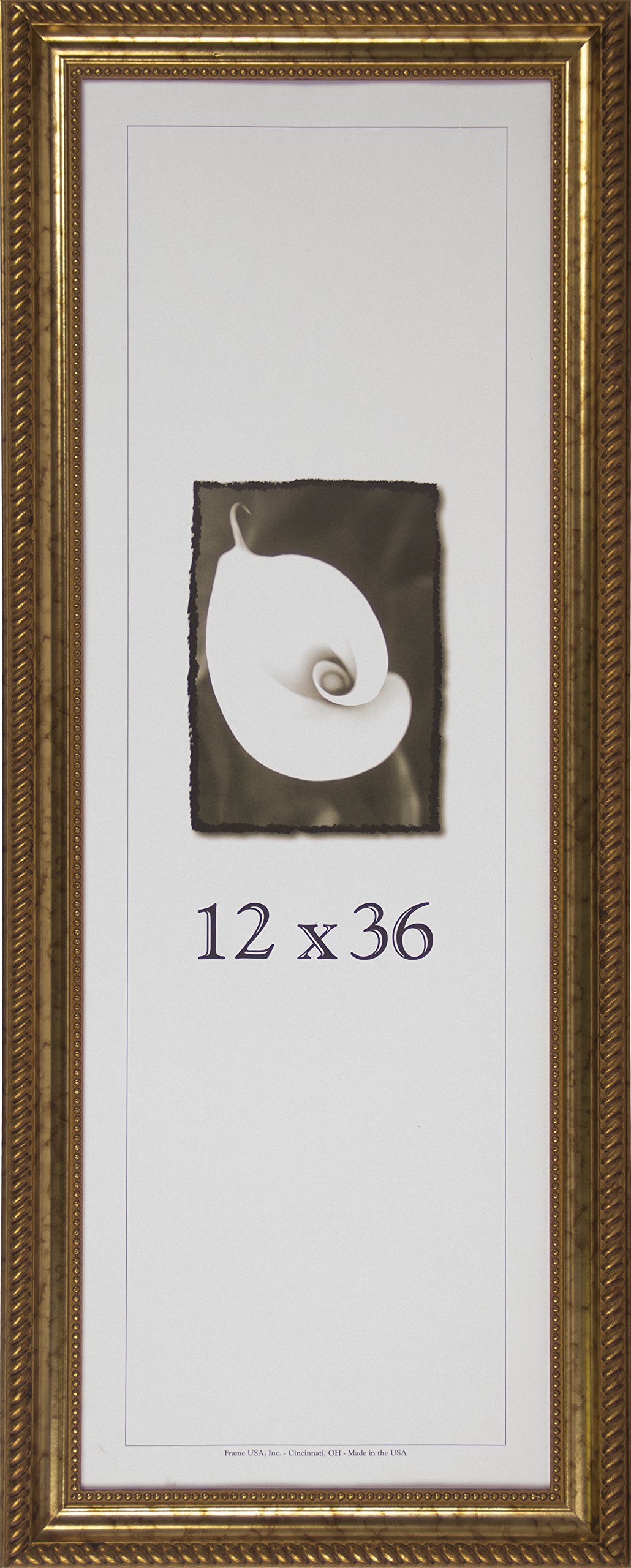 Frame USA Napoleon Series 12x36 Accented Composite Wood Picture Frames - Antique Gold Finish | Perfect for Home Decor, Office Wall Art & Photo Displays