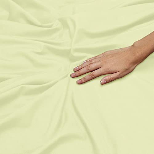Ivory Solid
