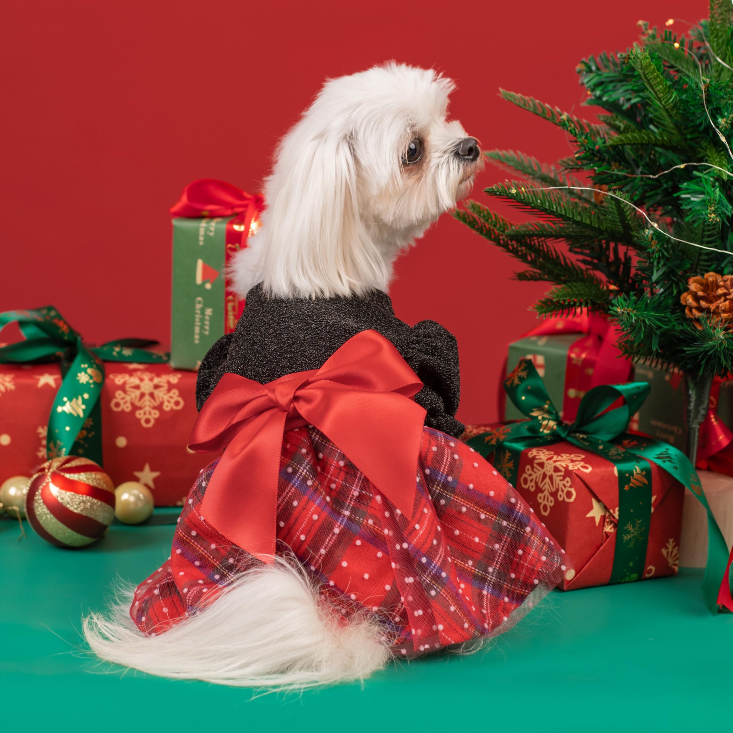 Fitwarm Christmas Puff Sleeve Dog Dress - Elegant Holiday Pet Outfit for Small Dogs | Black & Red Medium Size | Perfect for Christmas Photos & Festive Gatherings