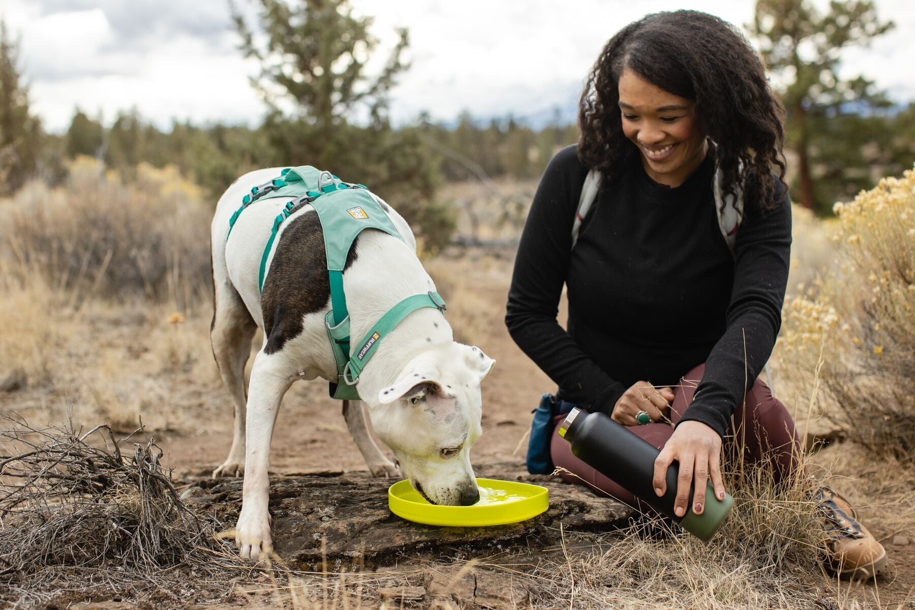 Ruffwear® Camp Flyer Disco & Plate Dog Bowl - Phosphorescent Green (Lichen Green) for Camping, Hiking & Outdoor Adventures