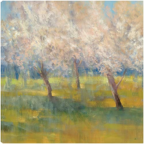 Cherry Blossoms
