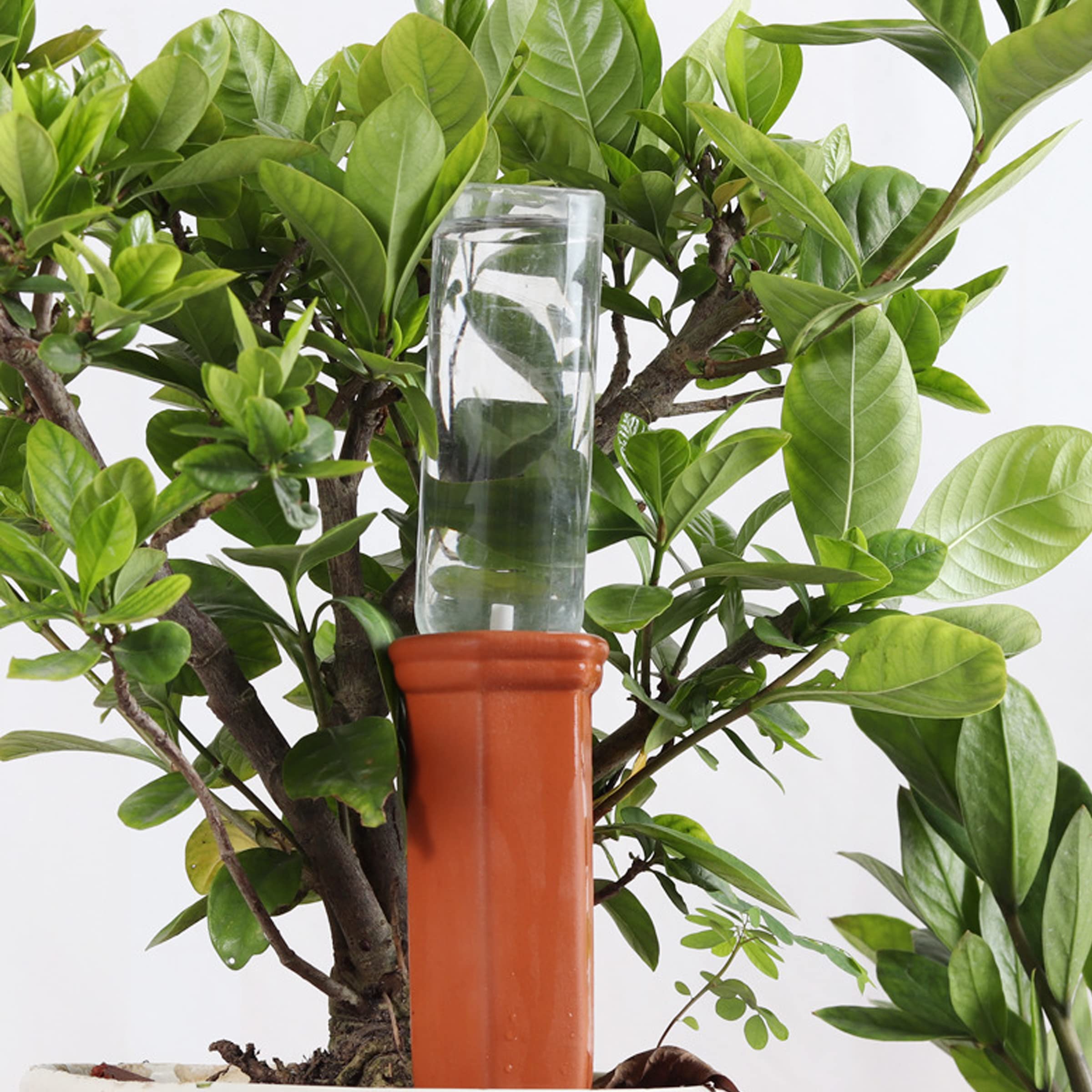10 Pack Terracotta Self-Watering Spikes for Plants - Automatic Wine Bottle Watering System for Indoor/Outdoor Gardens, Potted Plants & Vacation Plant Care