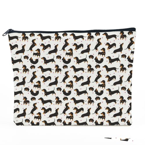 Dachshund26