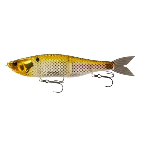 Chrome Gizzard
