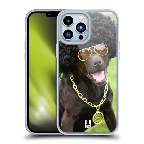 Dog In Funny Costume