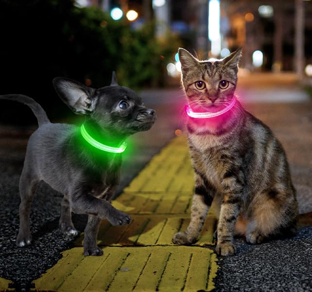 Candofly Rechargeable LED Dog Collar with Safety Light - Waterproof Reflective Collar for Night Walking, Camping, Hiking (X-Small, Red) - Perfect for Evening Dog Walks & Outdoor Adventures