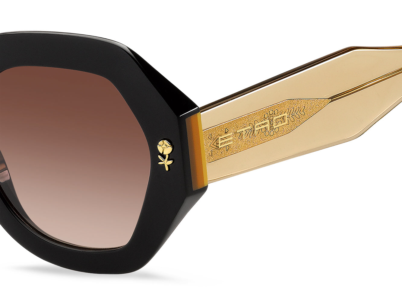 Etro 0009 S - Premium Luxury Sunglasses for Men & Women | UV Protection, Stylish Design | Perfect for Outdoor Activities, Travel & Fashion Statements