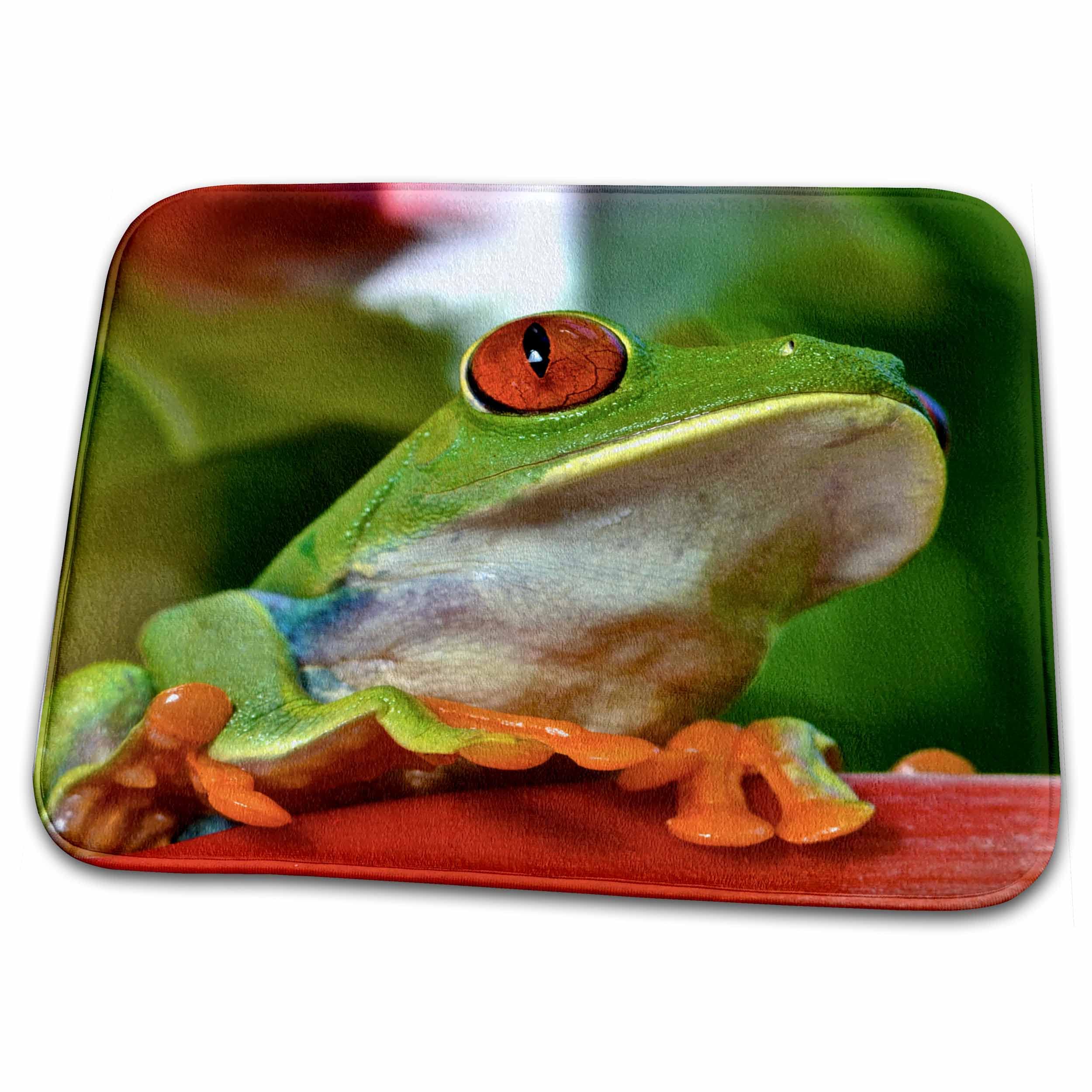 3D Printed Dish Drying Mat with Red-Eyed Tree Frog Design - Non-Slip Kitchen Drying Rack for Plates, Bowls & Utensils - Perfect for Eco-Friendly Home Decor & Unique Housewarming Gifts