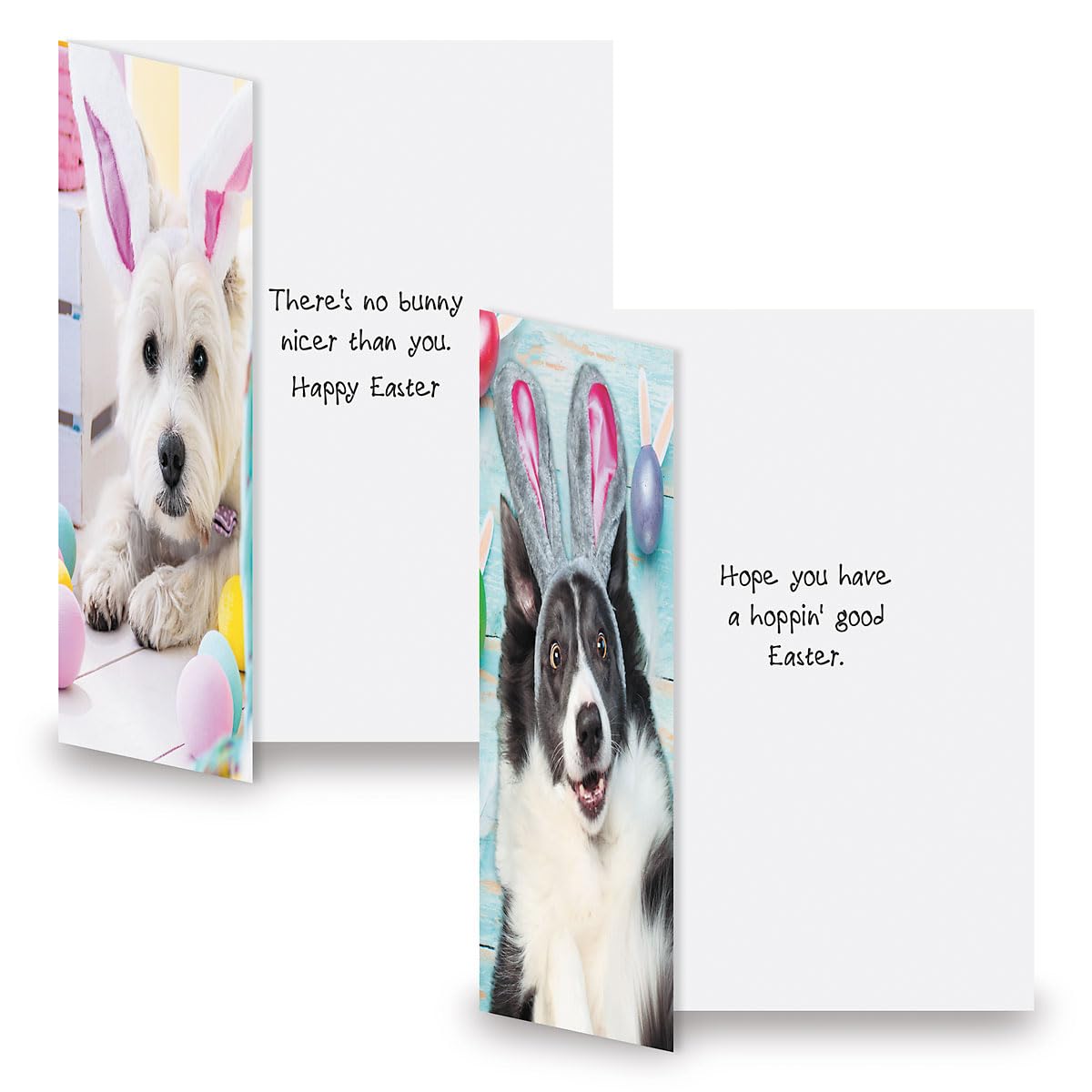 Premium Dog & Cat Easter Greeting Card Set - 8 Large 5x7 Inch Cards with 4 Cute Designs & White Envelopes | Perfect for Kids, Adults, Easter Gifts & Spring Celebrations | Ideal for Family, Friends, Teachers & Coworkers