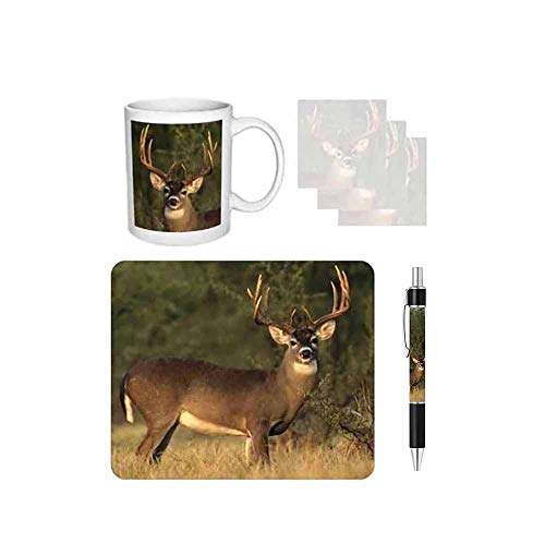 Deer