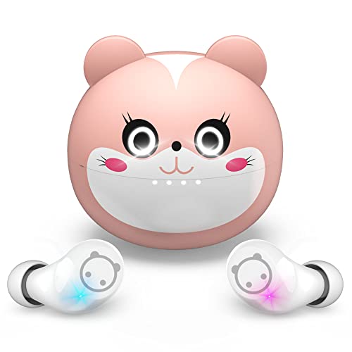 Cute Cat