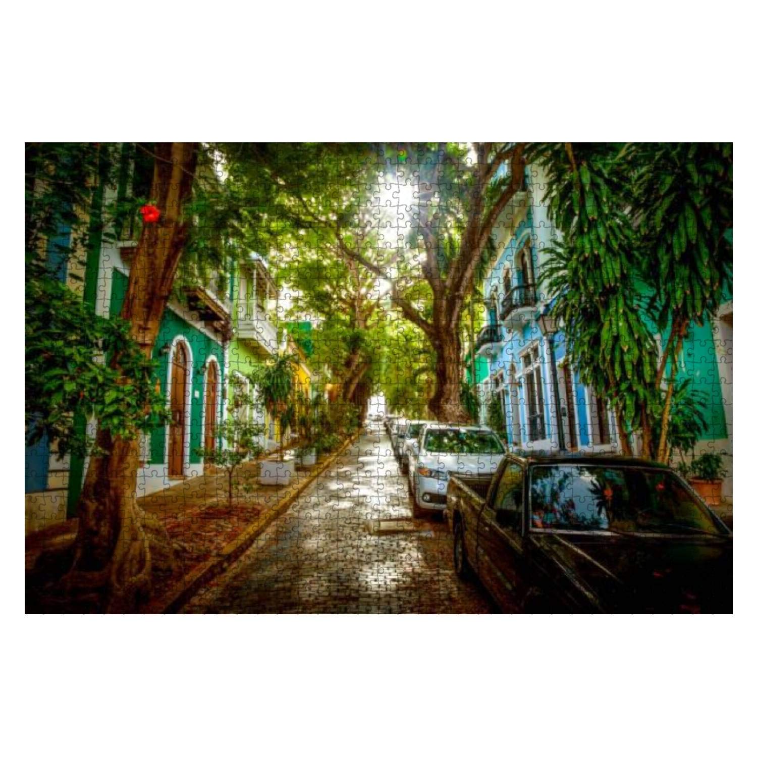 1000-Piece Wooden Jigsaw Puzzle - Old San Juan Puerto Rico Street Scene with Trees | DIY Educational Puzzle for Kids & Adults | Stress Relief Gift, Home Decor, Family Game Night Activity