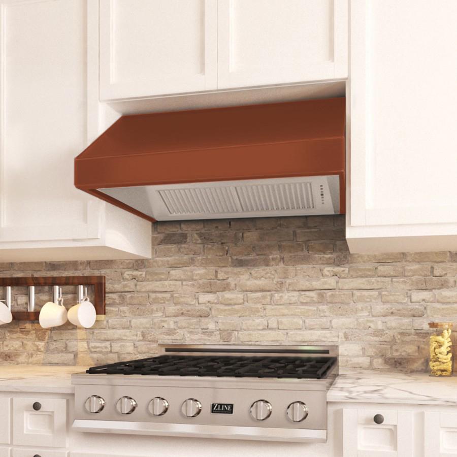 ZLINE 8685C Designer Series Under Cabinet Range Hood - 30 Inch Stainless Steel Kitchen Vent Hood with Powerful CFM for Smoke & Odor Removal - Perfect for Modern Home Kitchens & Open Concept Living Spaces