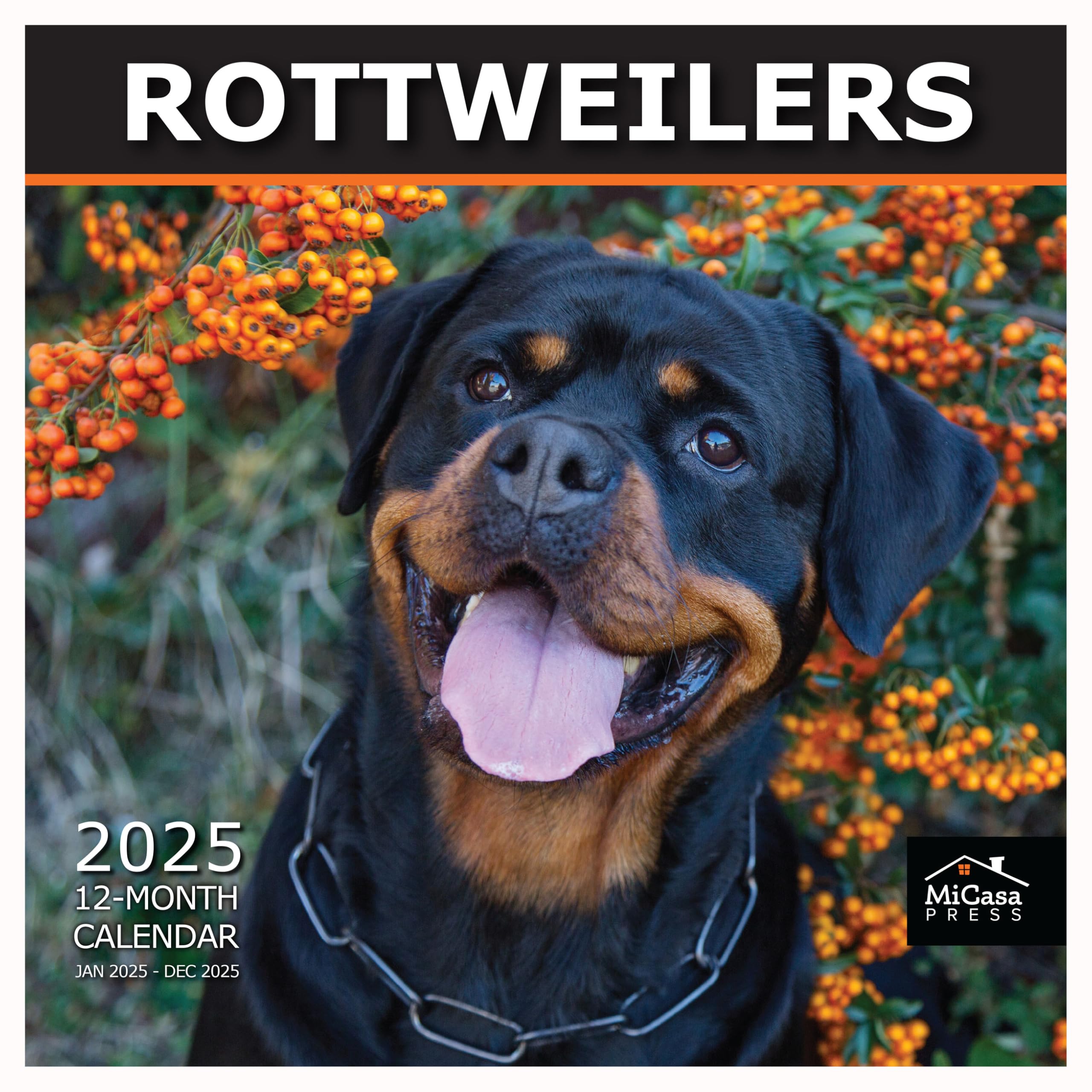 MICASA PRESS - 2025 Rottweiler Wall Calendar | 12