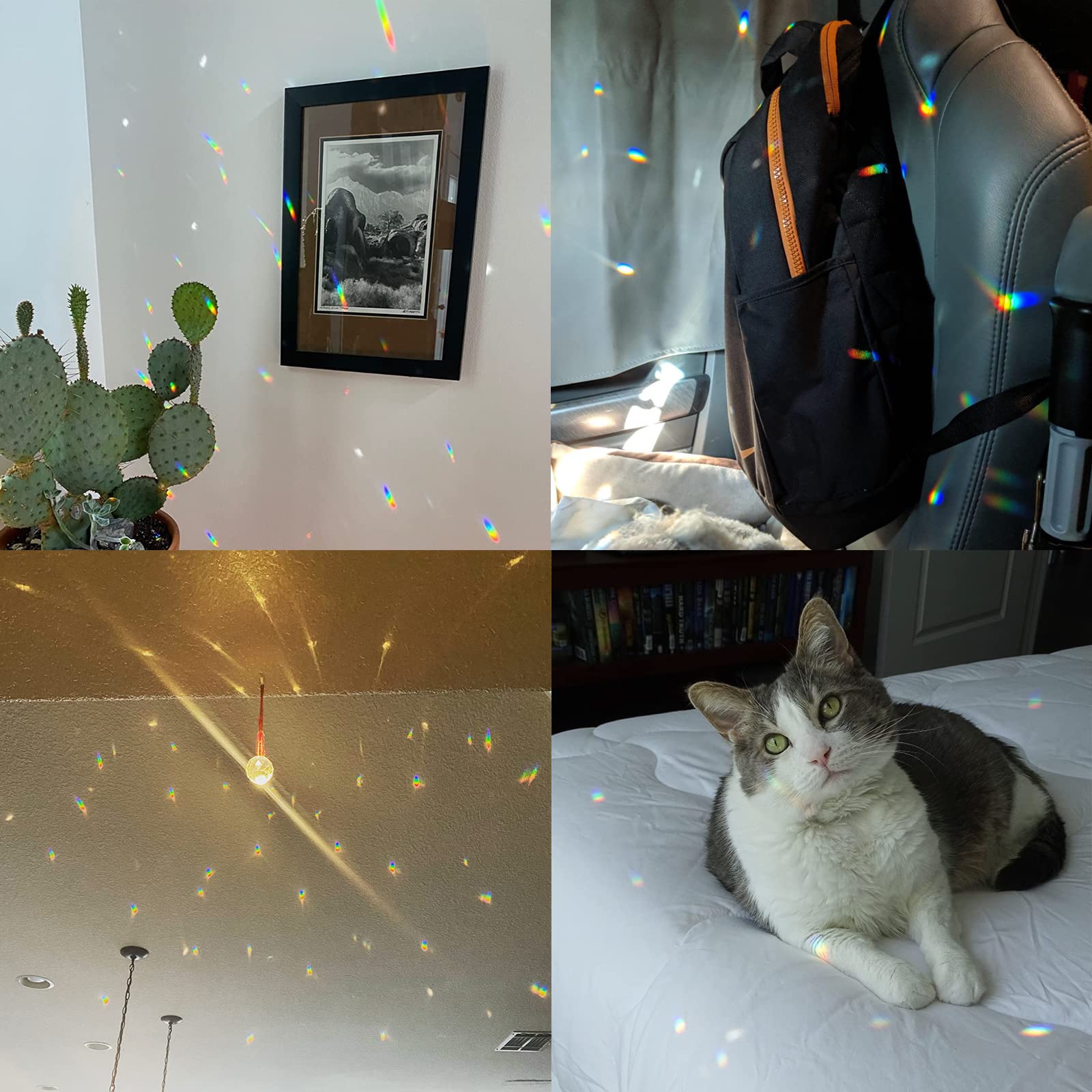 Rainbow Window Prism Suncatcher - Crystal Hanging Pendant for Windows - Creates Stunning Rainbow Light Effects - Perfect for Home Decor, Meditation Rooms & Gift Giving