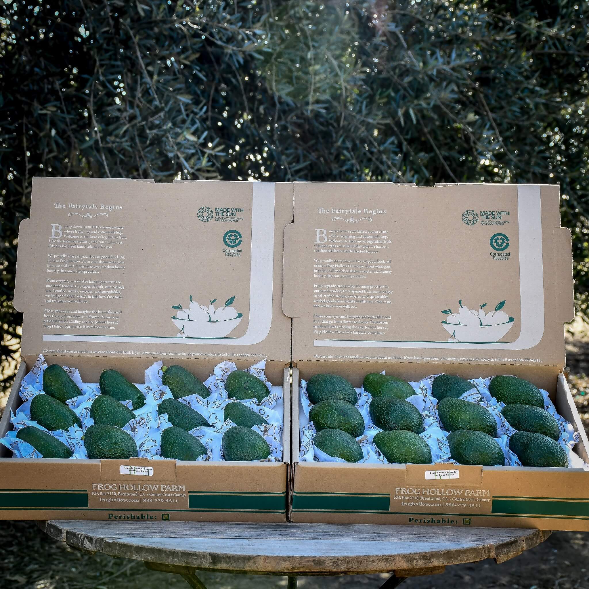 Fresh Organic Pinkerton Avocados - Premium Hass Avocado Alternative for Salads, Guacamole & Healthy Snacks - Perfect for Keto, Vegan & Paleo Diets