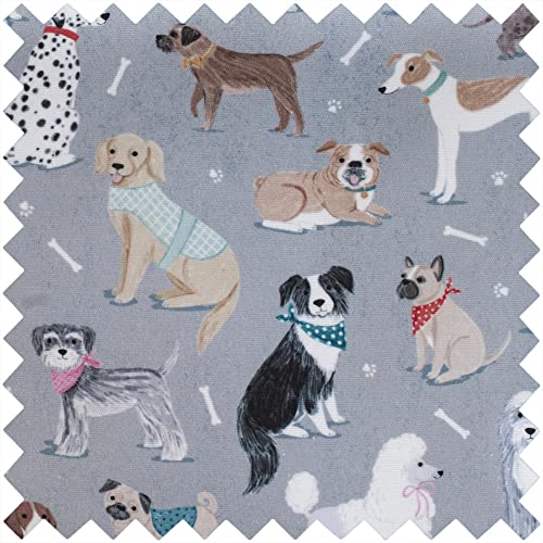 Grey Dogs