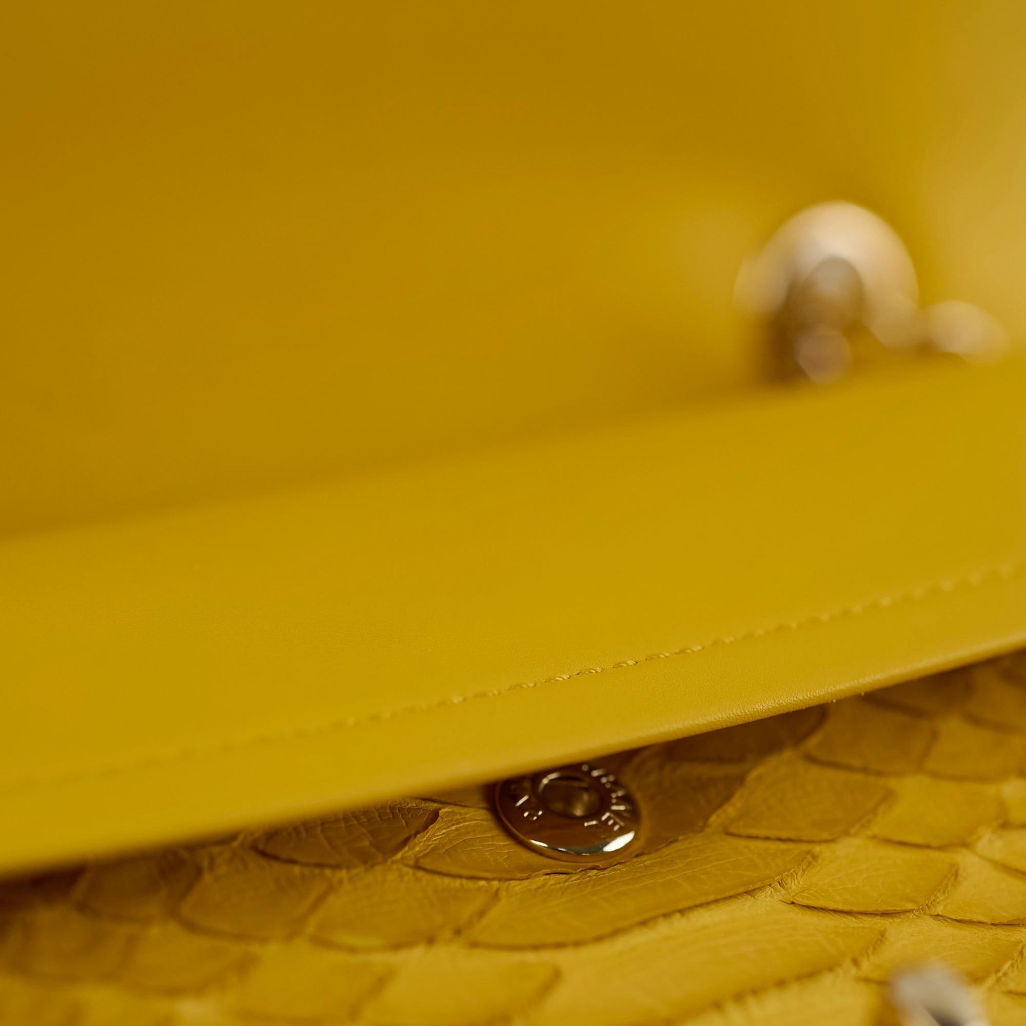 Chanel Python Leather Medium M/L Classic Flap Bag Yellow Series 22 - Luxury Designer Handbag for Women, Perfect for Parties, Weddings & Special Occasions