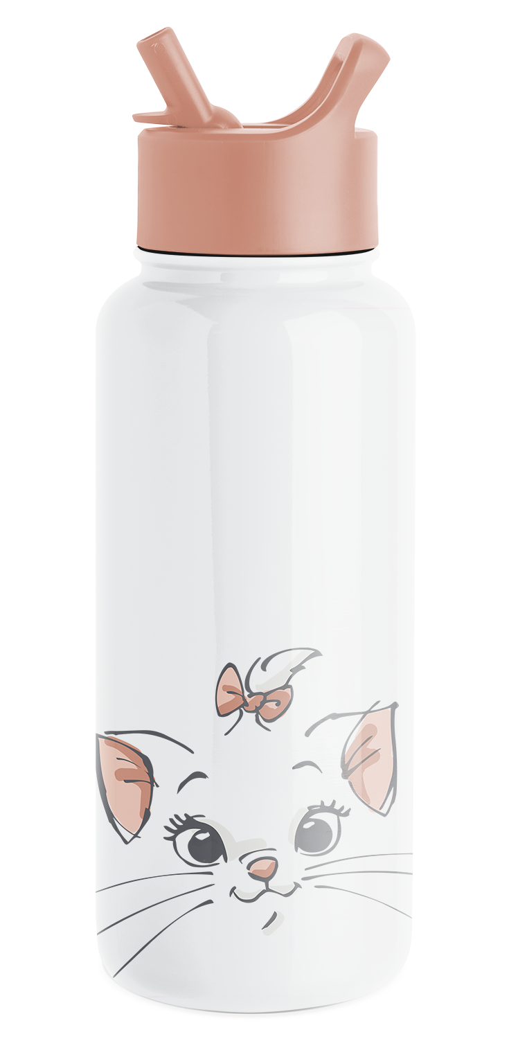Disney Summit Insulated Water Bottle with Straw Lid - 20oz Stainless Steel Leakproof Tumbler for Kids & Adults - Perfect for School, Gym, Hiking & Outdoor Activities