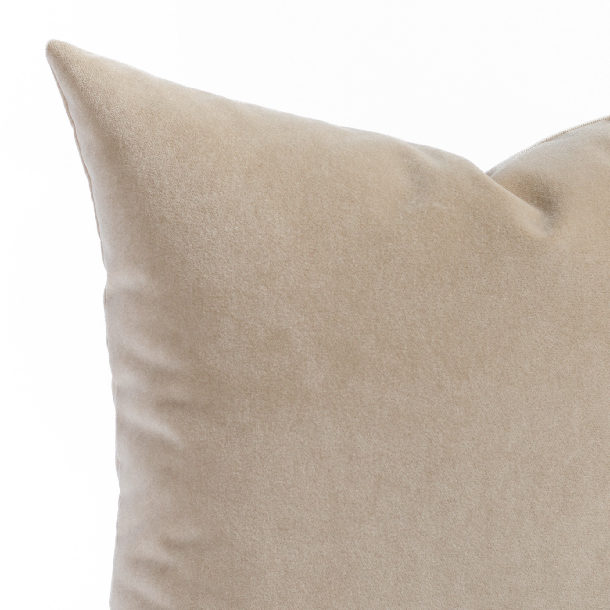 Valentina Velvet 20x20 Throw Pillow Cover - Soft Cashmere Feel for Sofa, Bed & Home Decor - Luxury Cushion for Living Room, Bedroom & Dorm