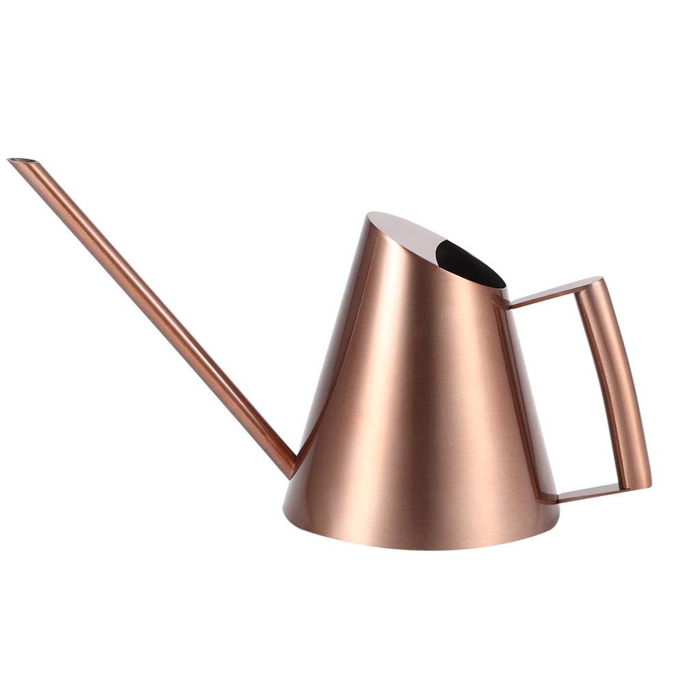 Stainless Steel Watering Can for Indoor Plants - Long Narrow Spout Bonsai Flower Pot for Home, Garden, Patio & Yard | Perfect for Delicate Watering of Houseplants, Succulents & Small Gardens
