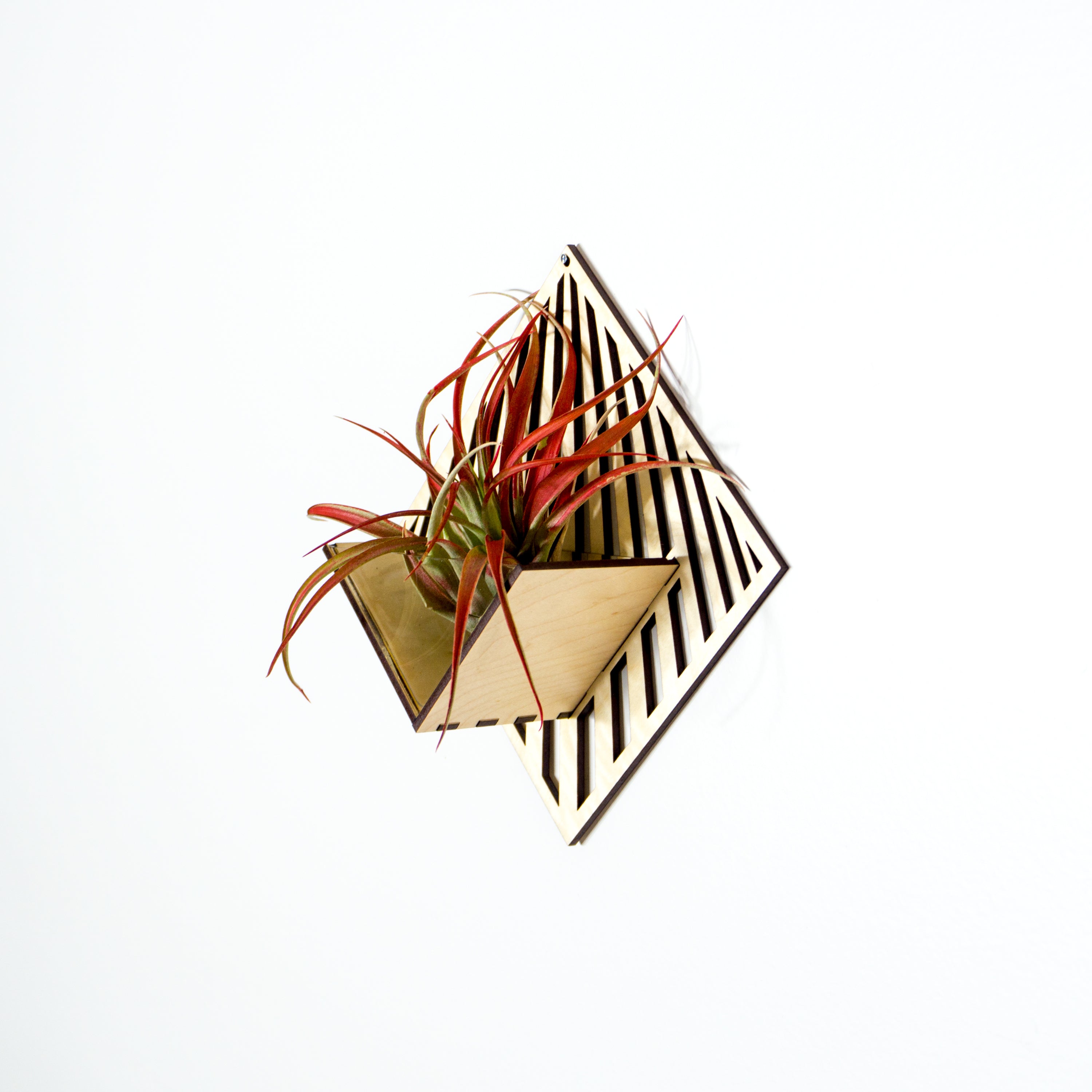 Handmade Wooden Quadrate Wall Planter - Air Plant Holder & Mounted Hanger Display for Tillandsia | Unique Home Decor Gift for Plant Lovers | Perfect for Living Room, Bedroom & Office Decor