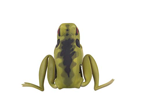 Toad
