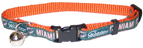 Miami Dolphins
