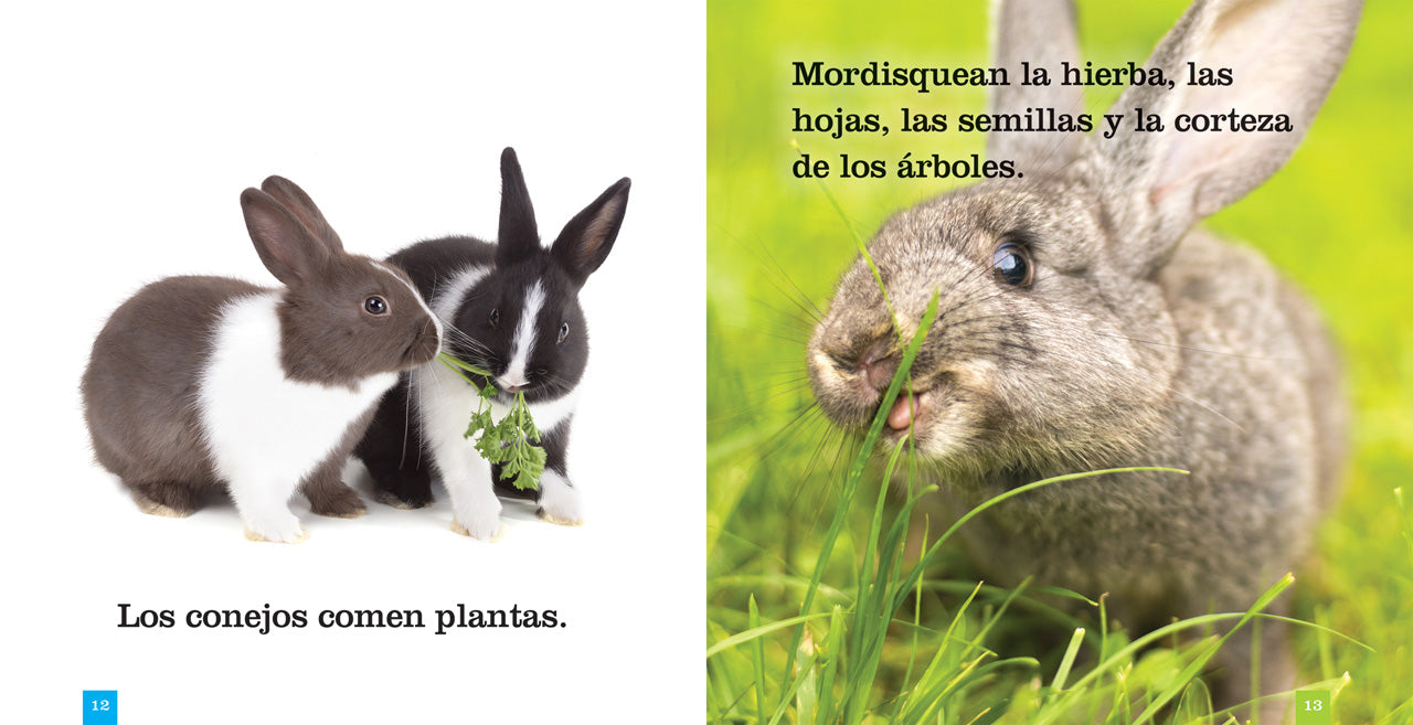 Los Conejos 9781640260931 - Bilingual English/Spanish Children's Book About Rabbits - Perfect for Kids Learning Spanish or English