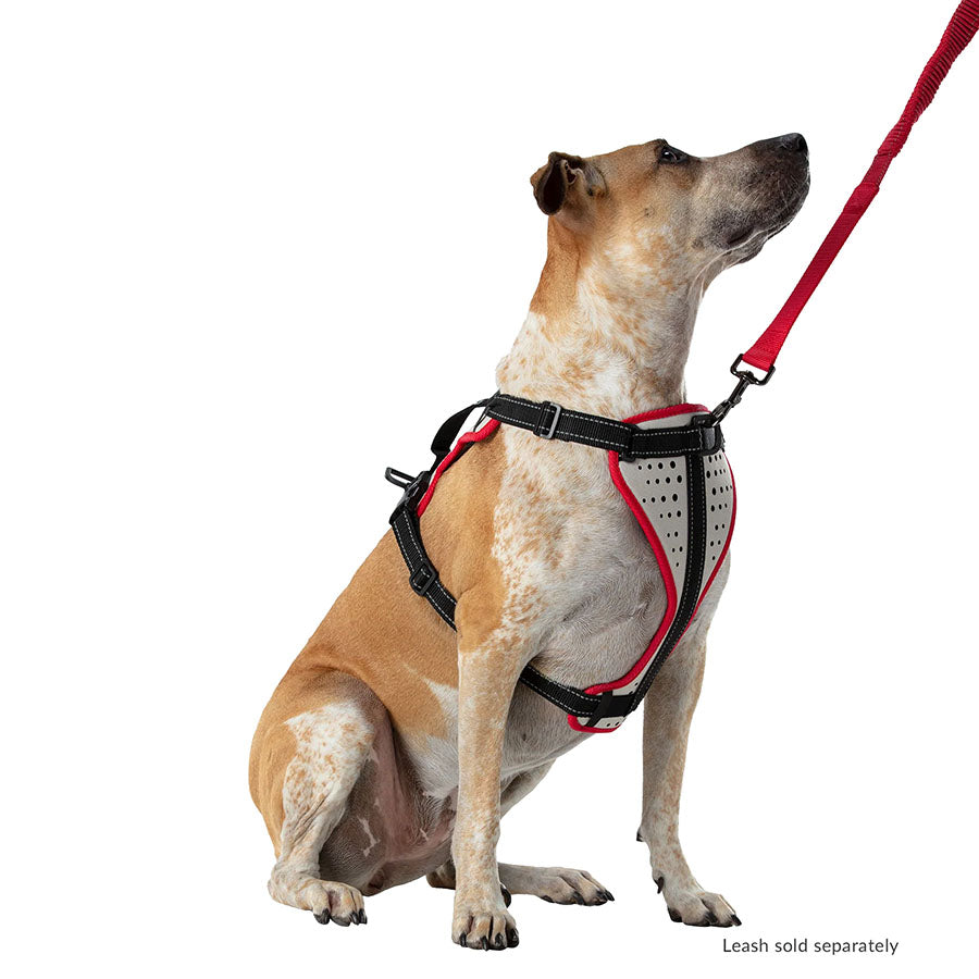 Best No-Pull Dog Harness for Running & Walking - Adjustable Reflective Pet Harness for Small, Medium, Large Dogs - Perfect for Jogging, Hiking & Outdoor Adventures
