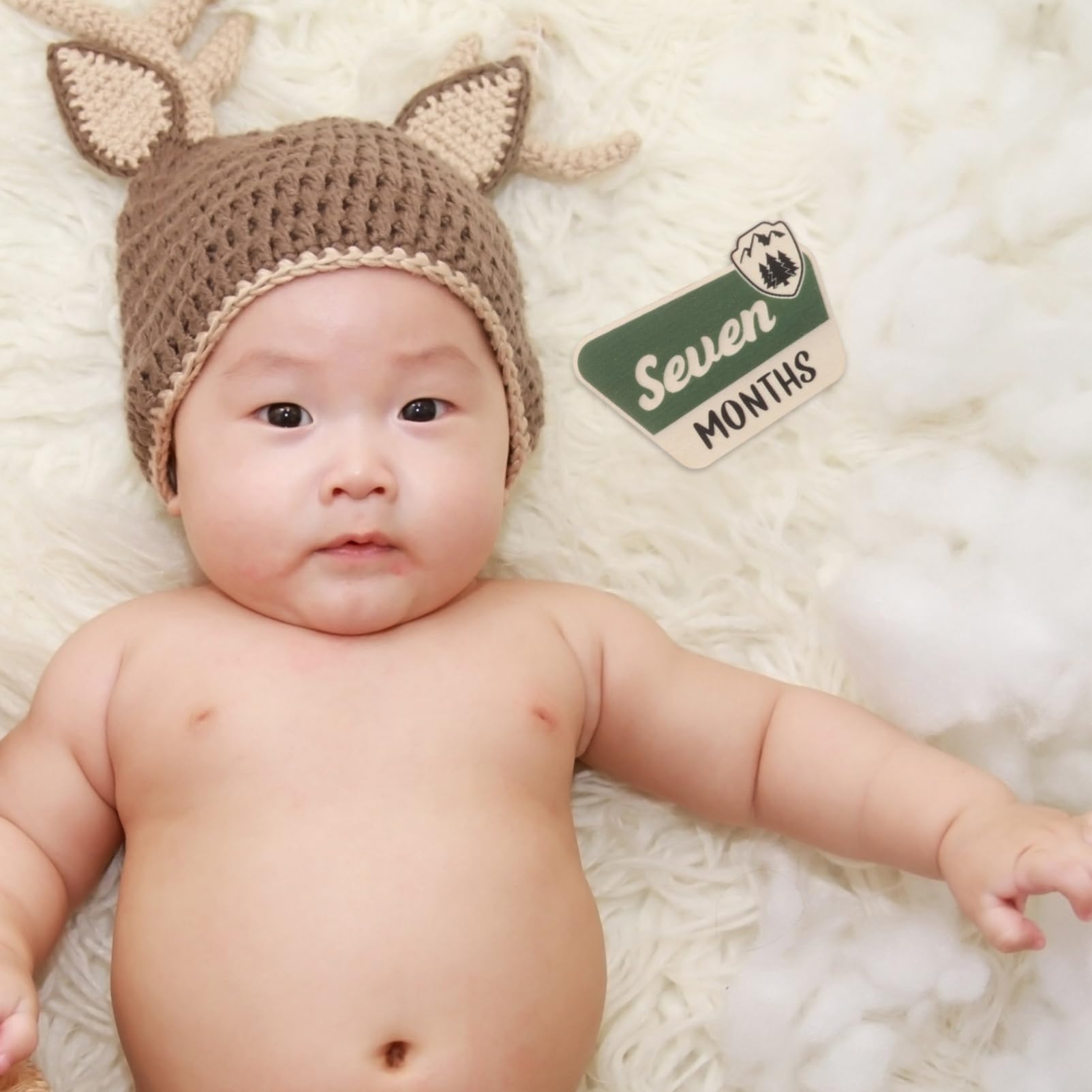 Totority 24 Pcs Baby Month Milestone Sign Set - Newborn Announcement Felt Flap Photo Props for Monthly Growth Tracking | Perfect for 1st Birthday, Baby Shower Decor & Woodland Theme Nursery