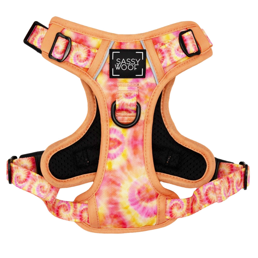Dog Step in Harness - Adjustable Pet Vest for Small & Medium Dogs - Groovy Summer Sorbet Color - Perfect for Walking, Training & Outdoor Adventures