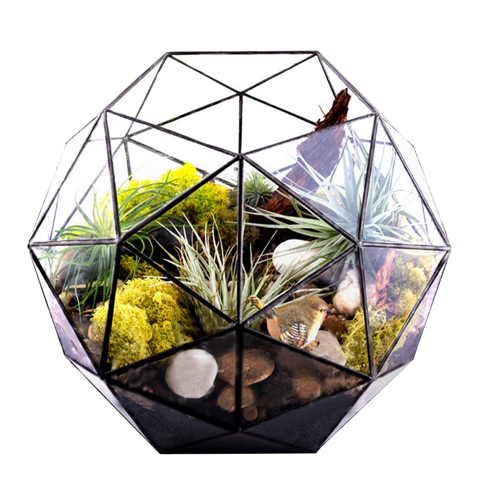 Geometric Glass Terrarium Planter for Air Plants & Succulents - Modern Miniature Fairy Garden Decor for Balcony, Tabletop & Indoor Display | Perfect for Home, Office & Wedding Centerpieces