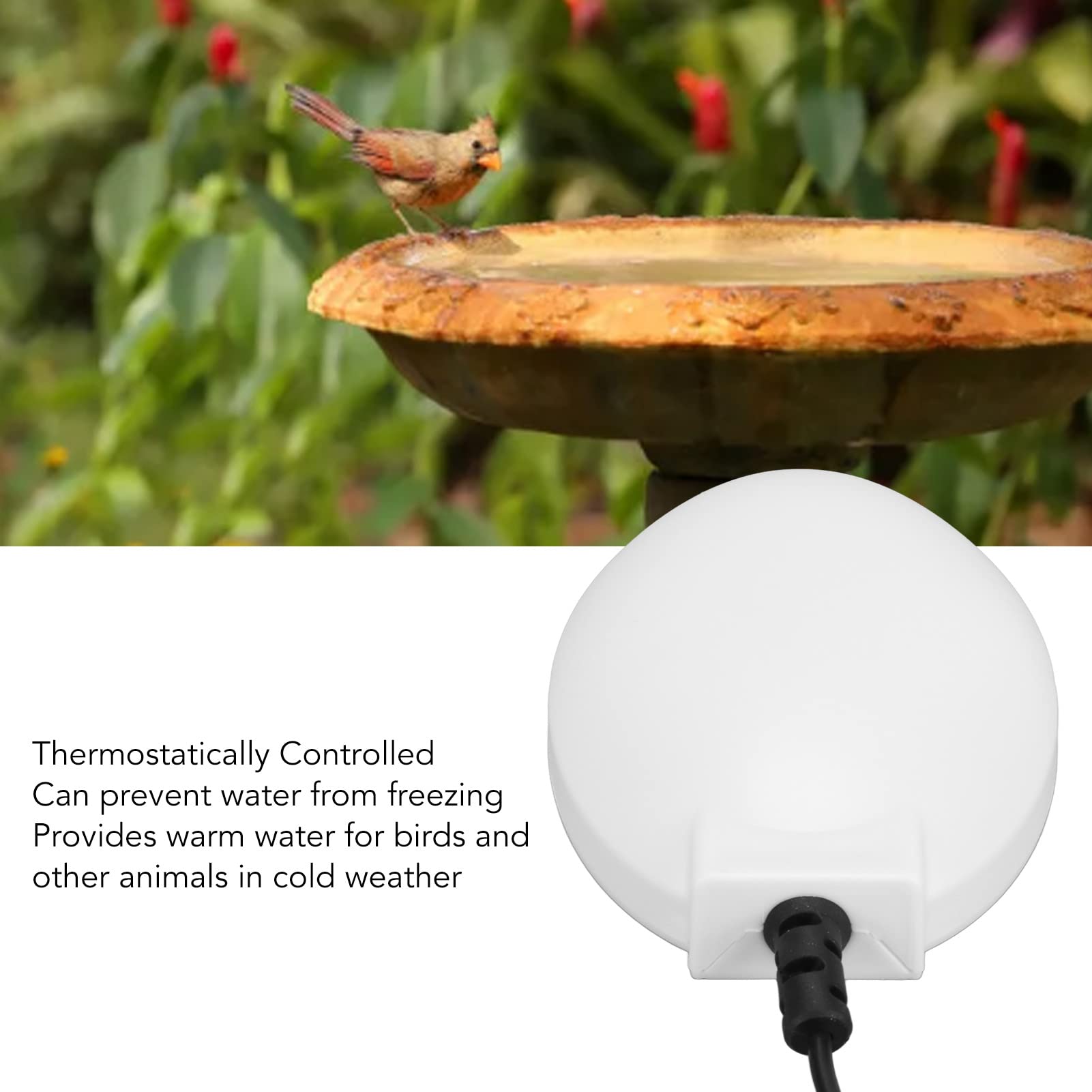 Upgraded Zunate Bird Bath Heater for Outdoor Use - Thermostat Controlled USB Birdbath Deicer & Water Heater, Easy Plug & Play - Perfect for Patio, Yard, Garden, Lawn (White) | Keep Birds Happy in Winter with Warm Water