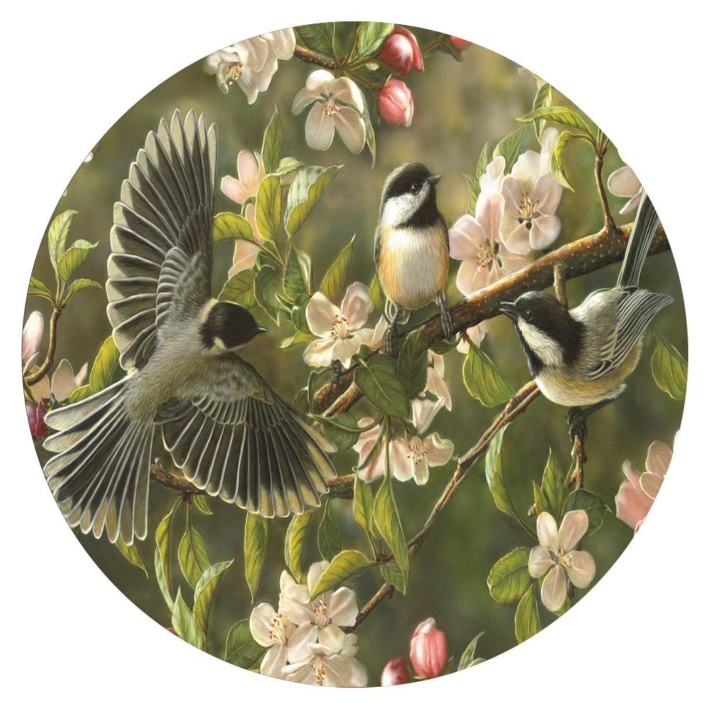 300 Piece Animal & Birds Wall Art Puzzle - Round Wooden Jigsaw for Adults & Kids, Stress Relief & Educational Toy, Perfect for Family Bonding & Home Decor