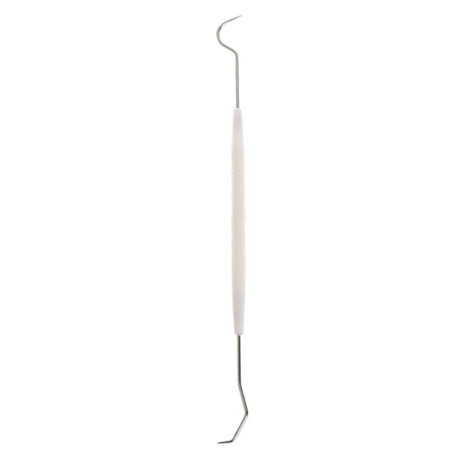 Ant Farm Cleaning Kit - Stainless Steel Double Head Hook & Test Tube Cleaner for Ant Nest Maintenance | Safe, Durable Insect Equipment | Perfect for Ant Keeping Enthusiasts & Science Classrooms