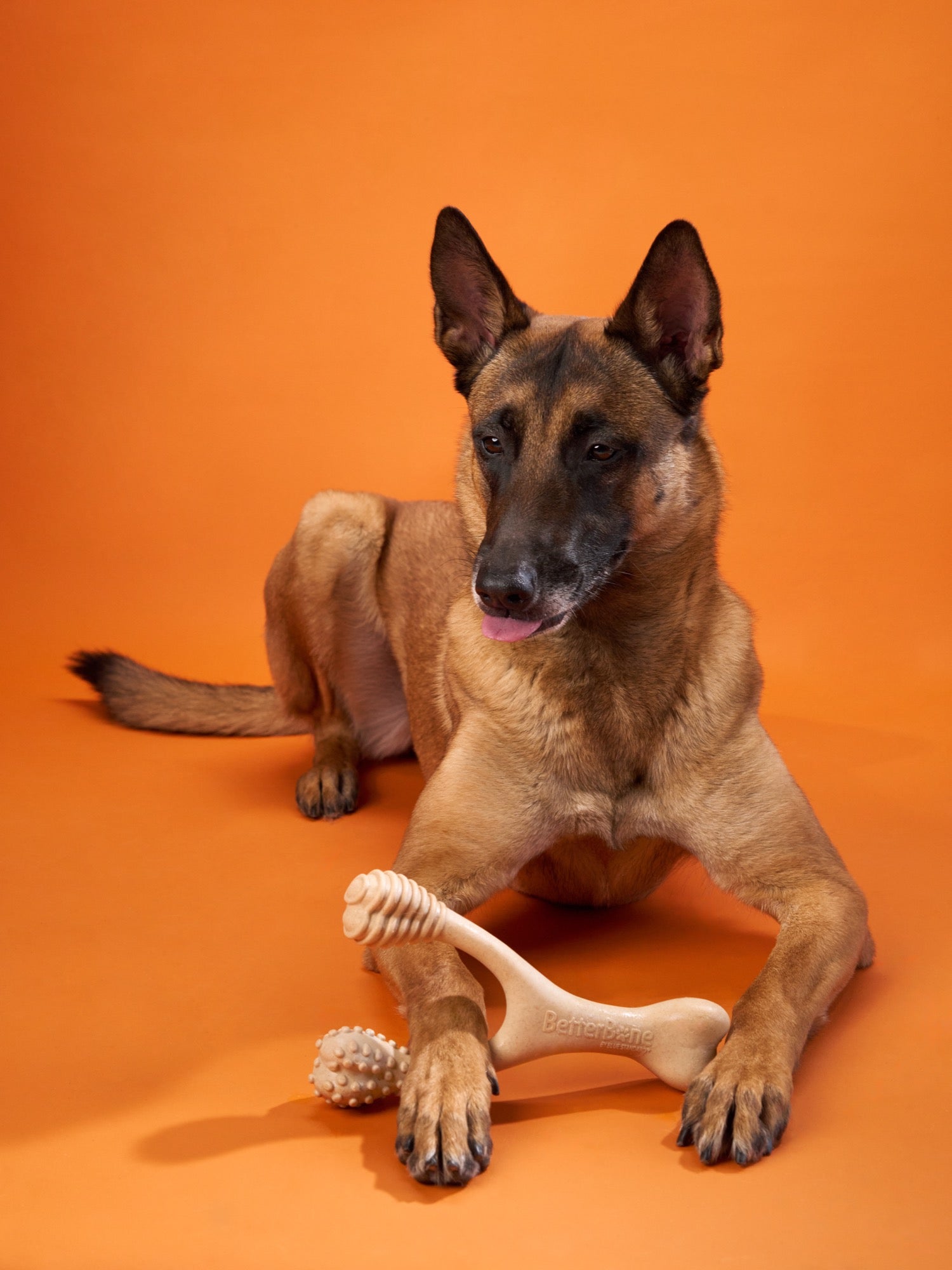 BetterBone MEDIUM: Hypoallergenic Chew Bone for Dogs - Safe & Durable Dental Treat for Medium Breeds - Perfect for Teething, Anxiety Relief, and Training Rewards