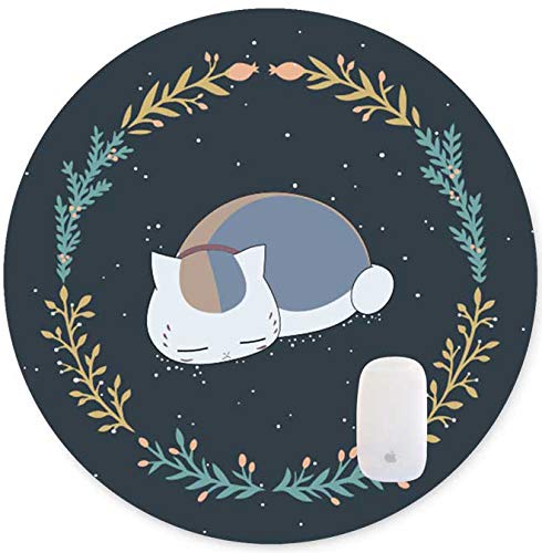 ‎cute Sleeping Kitten