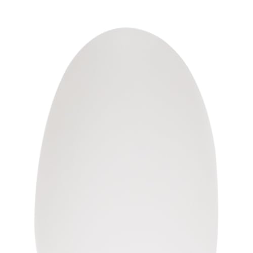 3-White Swan