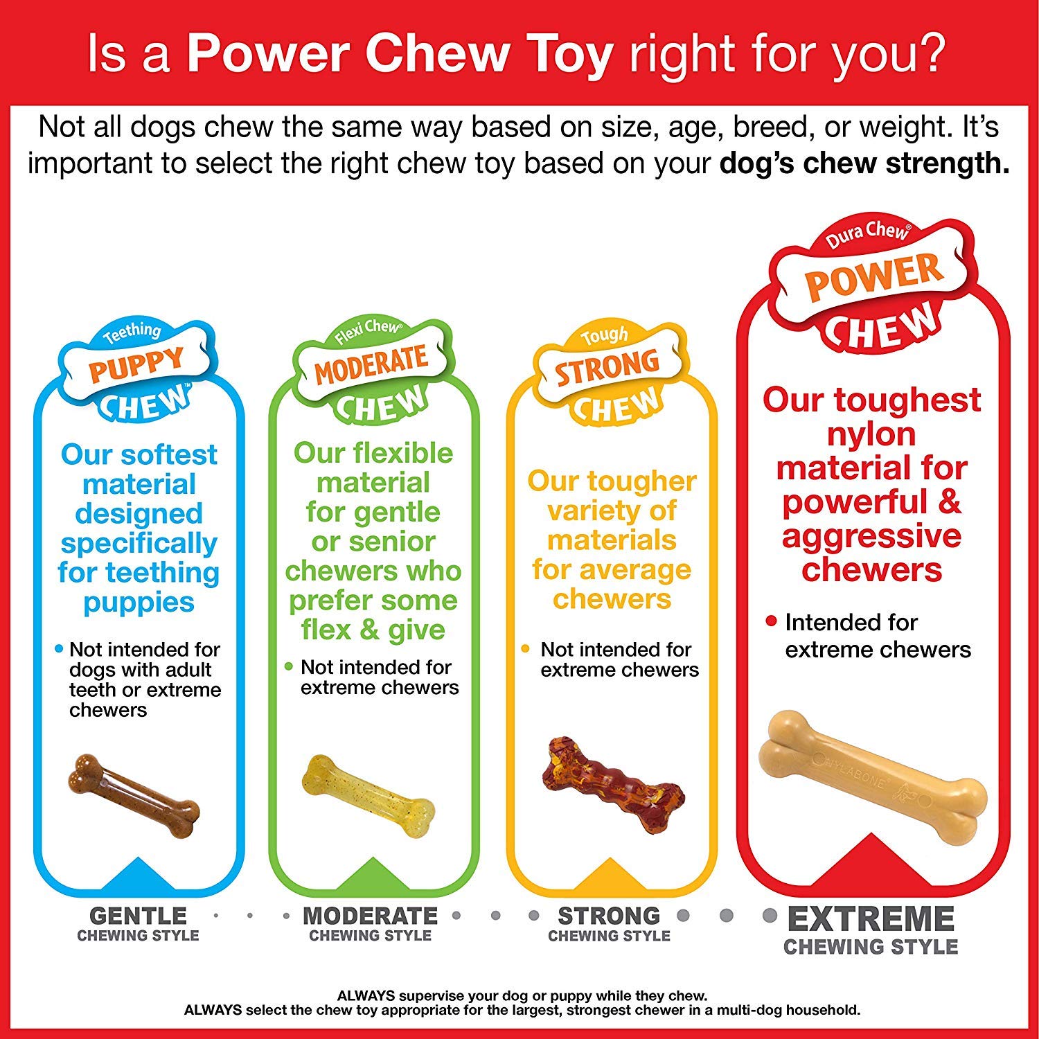 Nylabone 2-Pack Medium Power Chew Dog Toys - Chicken Jerky Flavor, Durable Chew Bone Alternative for Aggressive Chewers | Perfect for Teething Puppies & Dental Health, Indoor & Outdoor Play