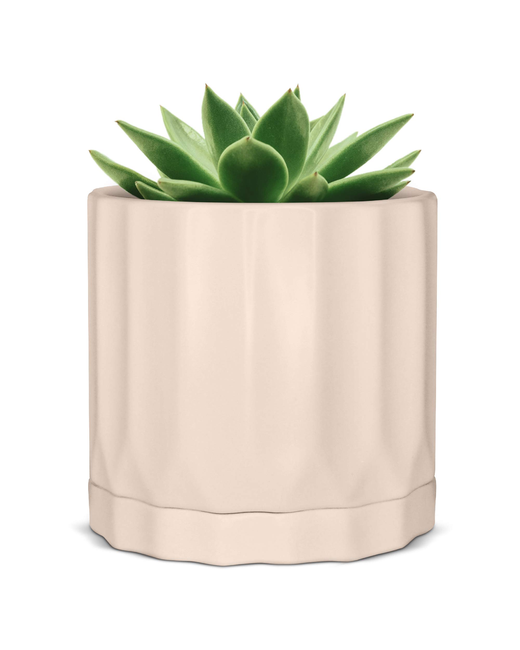 6 Inch Indoor Plant Pots with Saucer - Orchid Pot, Snake Plant Pot, Aloe Vera Pot, Money Tree Pot - Perfect for Home Decor, Office Plants & Indoor Gardening - Durable Flower Pots for Houseplants