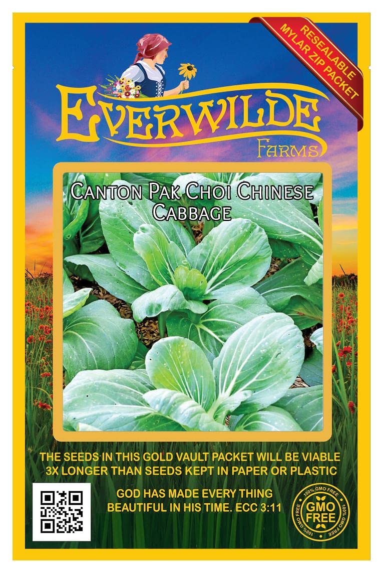 500 Canton Pak Choi Chinese Cabbage Seeds - Non-GMO Heirloom Vegetable Seeds for Home Garden - Perfect for Stir Fry, Soups & Asian Cooking - Everwilde Farms Gold Vault Jumbo Seed Packet