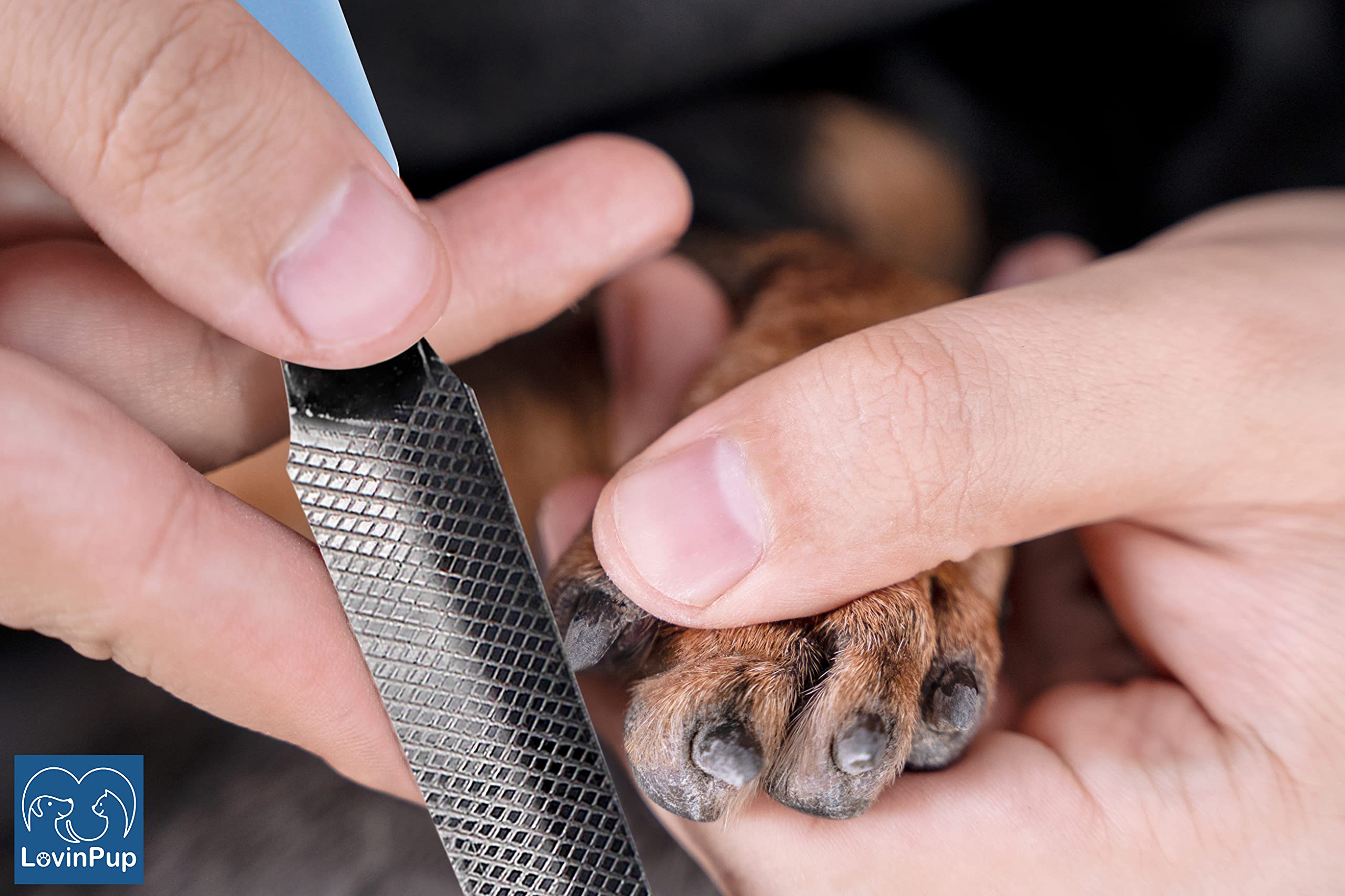 Professional Dog & Cat Nail Filer - Safe Pet Nail Grooming Tool for Smoothing Rough Edges | Perfect for Small & Large Dogs & Cats | Ideal for Home Grooming & Vet Clinics (1 Pack)