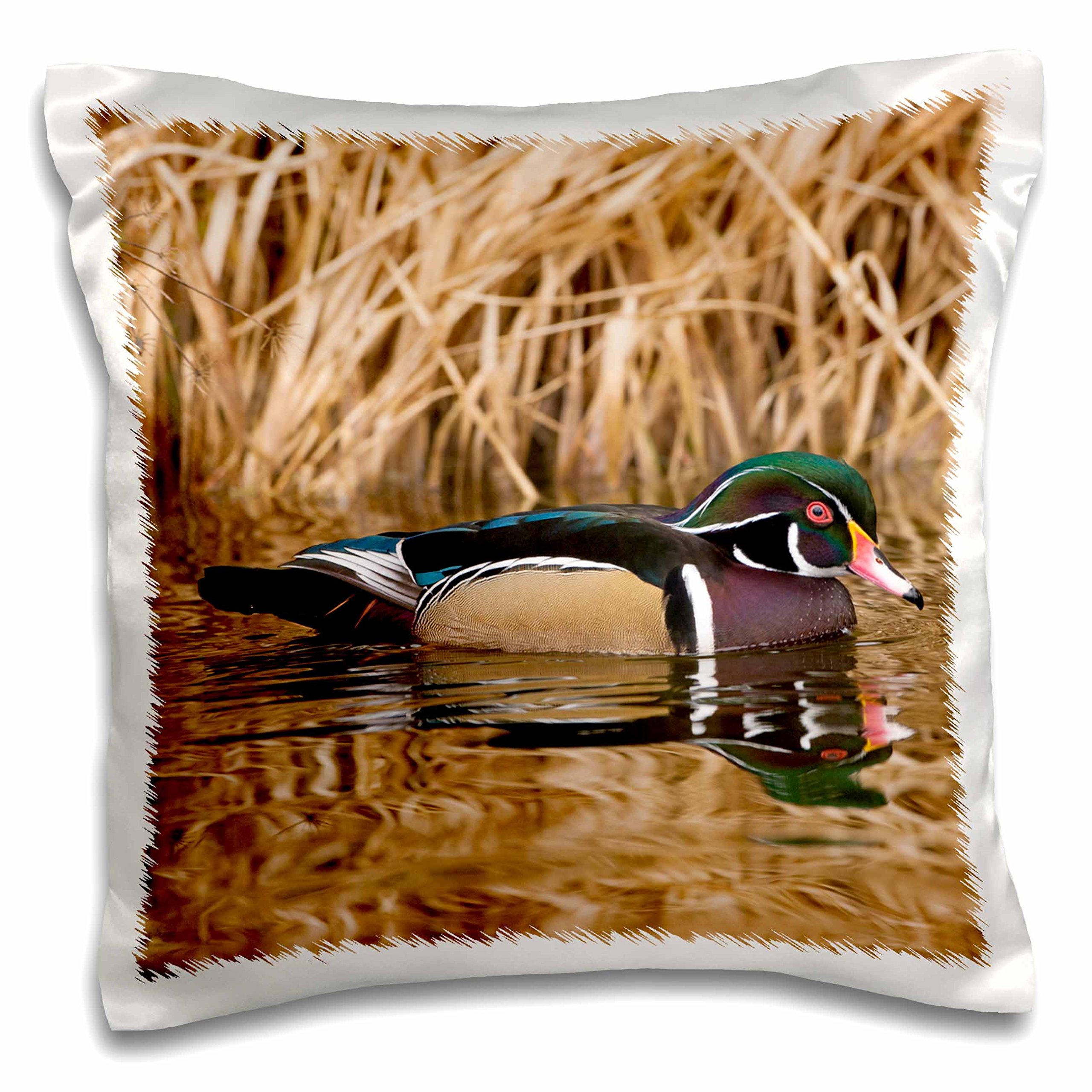 3D Rose Wood Duck Pillow Case 16x16 Inches - George C. Reifel Bird Sanctuary British Columbia Canada - Decorative Home Pillow Cover for Living Room, Bedroom, or Nursery