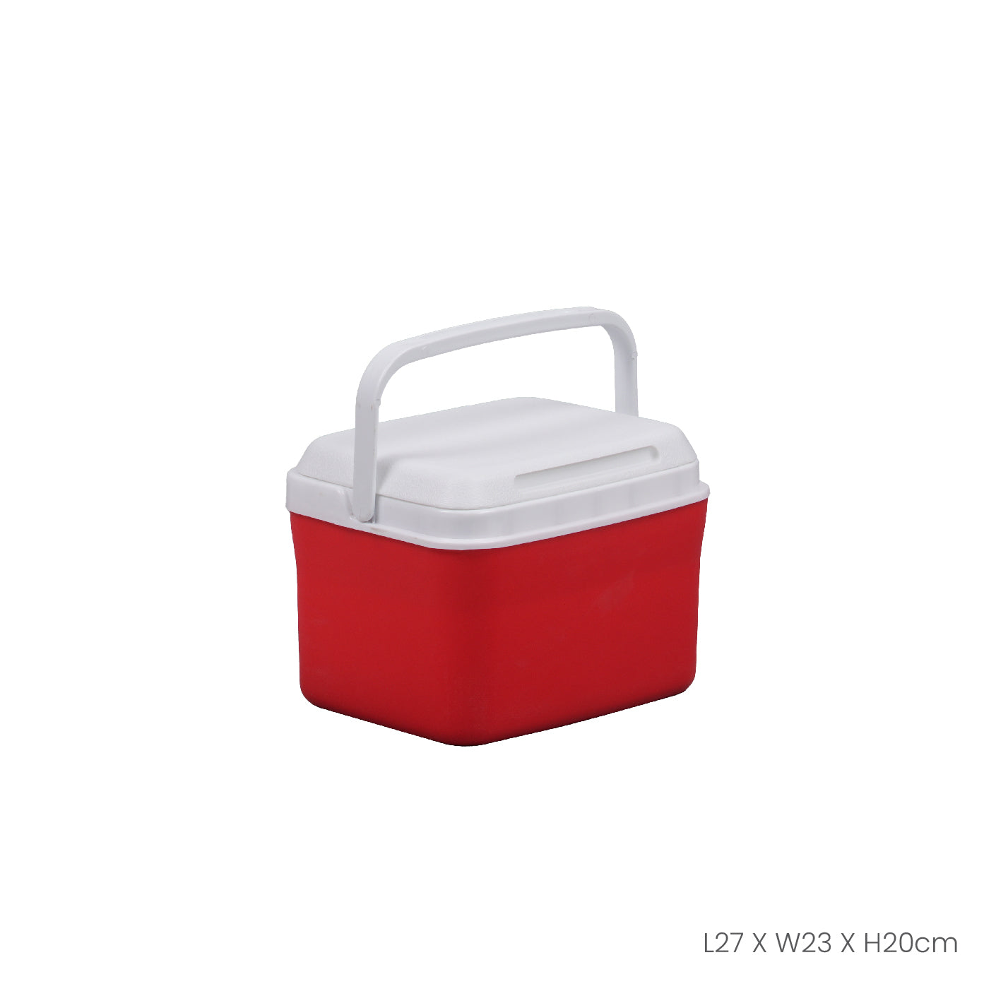 Portable Cooler Box 4.5L/1.2 Gallon - DX2159 (HFH8384) Insulated Lunch Bag for Picnics, Camping & Beach Outings