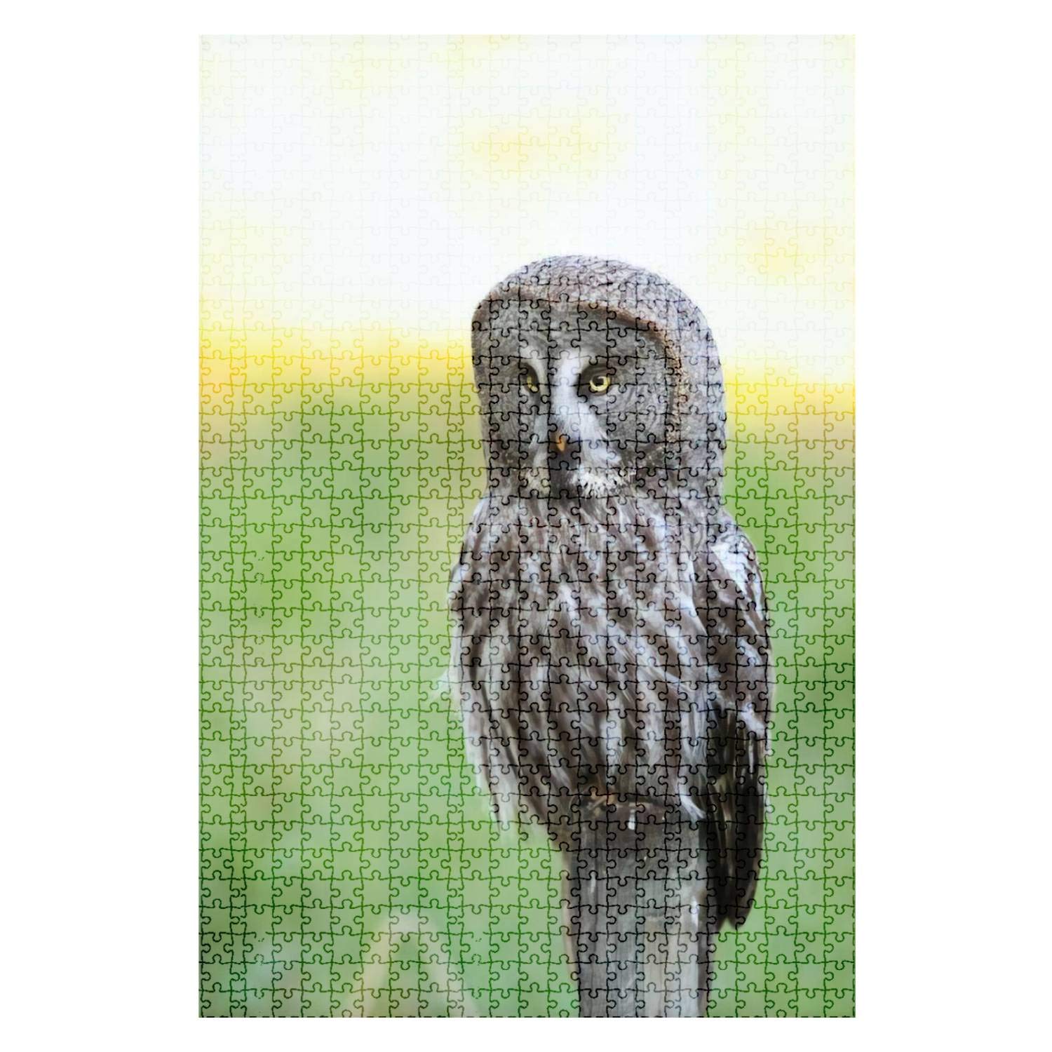 1000-Piece Wooden Jigsaw Puzzle - Great Grey Owl (Strix Nebulosa) - Fun & Challenging DIY Educational Puzzle for Adults & Kids - Perfect for Home Decor, Gifts, and Family Game Nights